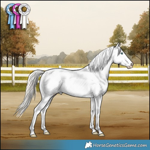 Horse Color:Gold Cream Champagne Pearl Dun Sabino Appaloosa Brindle 