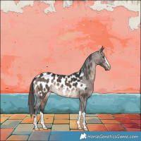 Horse Color:Brown Dun Appaloosa Brindle 