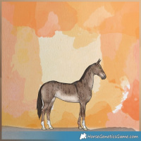 Horse Color:Liver Red Dun Brindle 