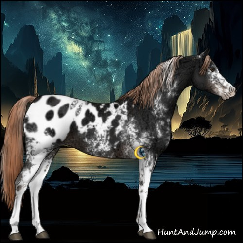 Horse Color:White Spotted Liver Chestnut Ice Appaloosa