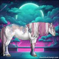 Horse Color:Watercolor Plaid  White Spotted Liver Red Dun Onyx Splash Rabicano Brindle 