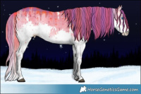 Horse Color:Watercolor Plaid  White Spotted Liver Red Dun Onyx Splash Brindle 