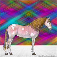 Horse Color:Watercolor Plaid  White Spotted Liver Red Dun Onyx Rabicano Brindle 