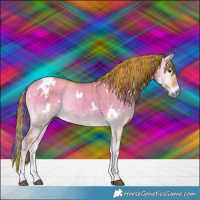 Horse Color:Watercolor Plaid  White Spotted Liver Red Dun Onyx Rabicano Brindle 