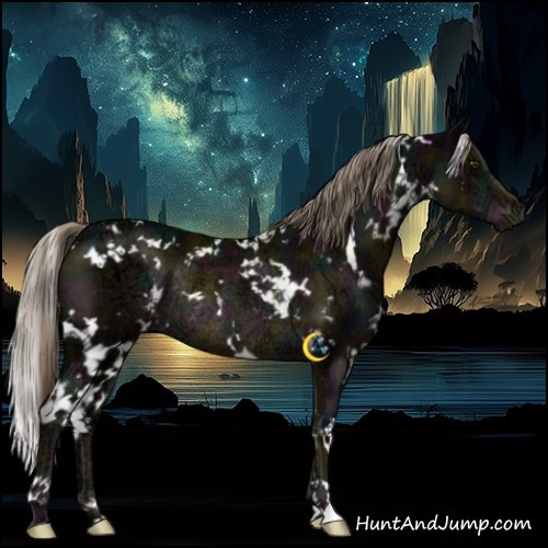 Horse Color:White Spotted Midnight Chocolate Palomino Ice Rabicano