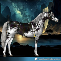 Horse Color:White Spotted Midnight Liver Chestnut Ice Mushroom 