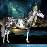 Horse Color:White Spotted Midnight Liver Chestnut Ice 