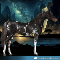 Horse Color:White Spotted Liver Chestnut Ice Tobiano 
