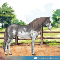 Horse Color:Platinum White Spotted Liver Chestnut Sabino 