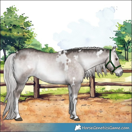 Horse Color:Platinum White Spotted Chocolate Palomino Onyx 