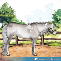 Horse Color:Platinum White Spotted Chocolate Palomino Onyx 