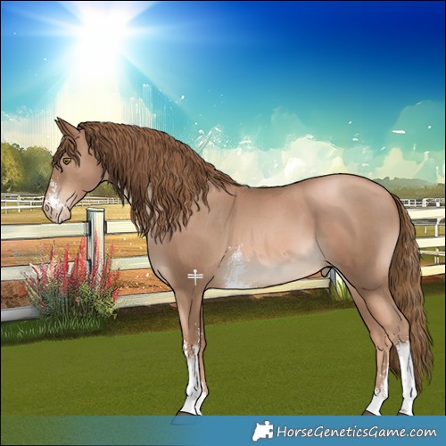 Horse Color:Liver Chestnut Pearl Sabino 