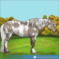 Horse Color:White Spotted Silver Brown Dun 