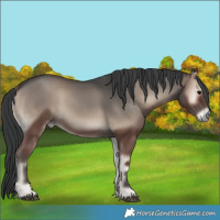 Horse Color:Blue Onyx Sabino 