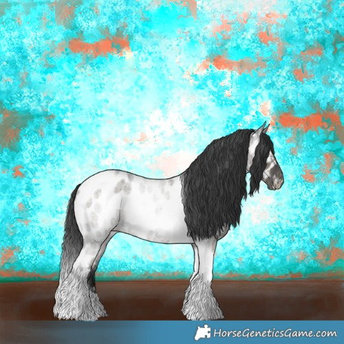 Horse Color:Grullo Roan Tobiano Appaloosa Brindle