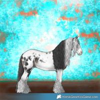 Horse Color:Black Tobiano Frame Near Leopard 