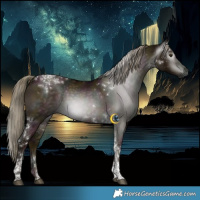 Horse Color:Gray Midnight Liver Red Dun Mushroom Tobiano 