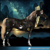 Horse Color:White Spotted Midnight Liver Red Dun Ice Tobiano 