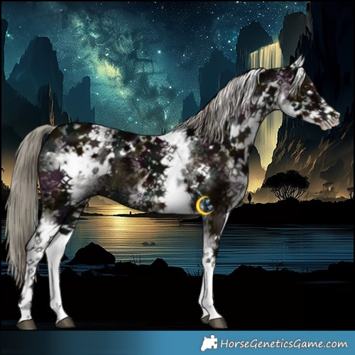 Horse Color:White Spotted Midnight Liver Chestnut Ice Mushroom