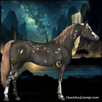 Horse Color:White Spotted Midnight Liver Red Dun Brindle 