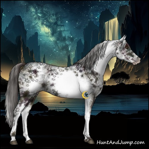 Horse Color:White Spotted Midnight Liver Red Dun Brindle