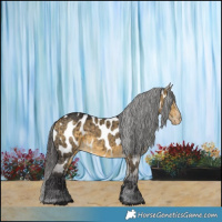Horse Color:Buckskin Dun Near Leopard Brindle 