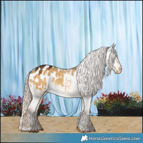 Horse Color:Chocolate Palomino Dun Appaloosa
