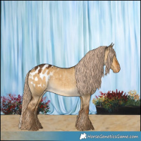 Horse Color:Chocolate Palomino Dun Appaloosa 