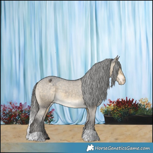Horse Color:Buckskin Dun Appaloosa 