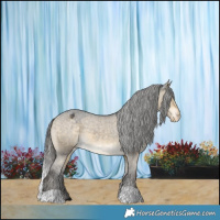Horse Color:Buckskin Dun Varnish 