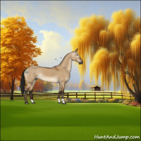 Horse Color:Gray Bay Dun 