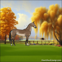 Horse Color:Gray Bay Dun Rabicano 