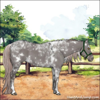 Horse Color:Platinum White Spotted Liver Red Dun Tobiano 