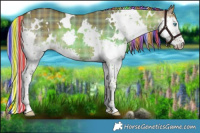 Horse Color:Painted Plaid  White Spotted Liver Red Dun Splash 