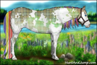 Horse Color:Painted Plaid White Spotted Liver Red Dun Splash