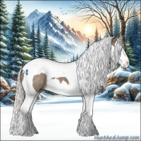 Horse Color:Silver Grullo Splash Tobiano 