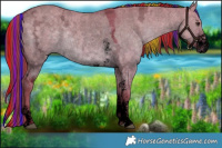 Horse Color:Void Painted Watercolor Liver Red Dun Ice Sabino 