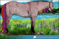 Horse Color:Void Painted Watercolor Liver Red Dun Ice Sabino 