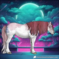 Horse Color:Watercolor Plaid  White Spotted Liver Red Dun Sabino Splash Rabicano 