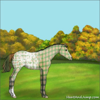 Horse Color:Plaid  Bay Ice 