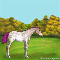 Horse Color:Painted Chestnut Ice Frame 
