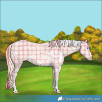 Horse Color:Plaid  White Spotted Perlino 