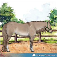 Horse Color:Liver Red Dun Tobiano Rabicano