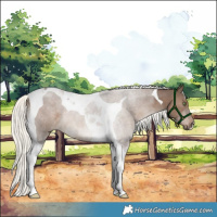 Horse Color:Liver Red Dun Mushroom Tobiano 