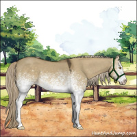 Horse Color:White Spotted Chocolate Palomino Dun