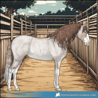 Horse Color:Liver Red Dun Roan Splash Rabicano