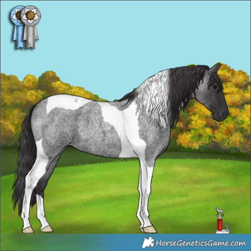 Horse Color:Smoky Blue Roan Tobiano 
