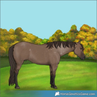 Horse Color:Liver Red Dun 