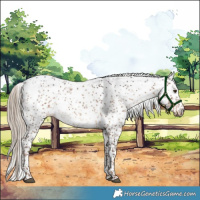 Horse Color:Liver Red Dun Sabino Brindle