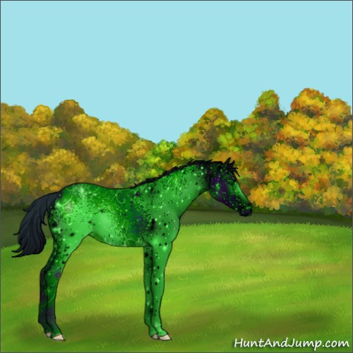 Horse Color:ERROR: UNKNOWN ANOMALY